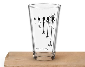 Stages of Neuron Development Pint Glass – Cajal Vintage Maturation Sketch