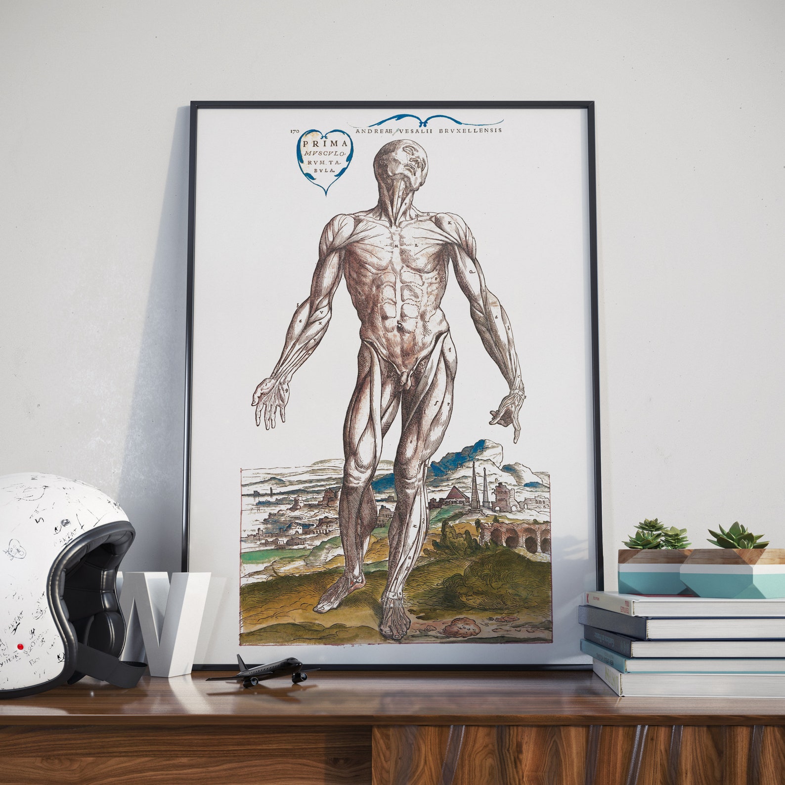 Vesalius Anatomy Art Print - Renaissance Muscle Man Illustration - Etsy