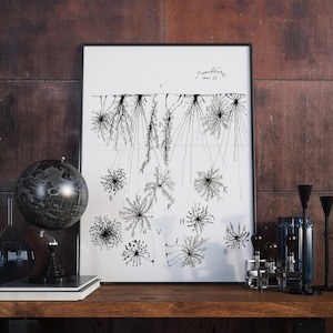 Può includere: Illustrazione in bianco e nero di un neurone, un tipo di cellula nervosa, con dendriti e un assone. L'illustrazione è etichettata con le lettere da A a R. Il testo "gangliens" e "nov 17" è scritto nell'angolo in alto a destra dell'immagine.