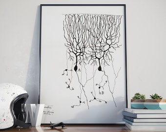 Purkinje Neuron Print: Santiago Cajal Neurology Art