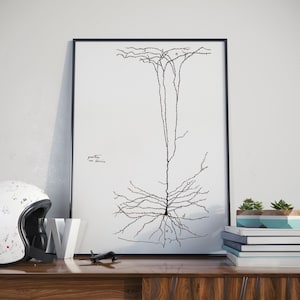 Può includere: Disegno in bianco e nero a linea di un neurone, un tipo di cellula nervosa, con il testo "purkinje cell" scritto in corsivo sul lato sinistro dell'immagine. Il disegno è incorniciato da una cornice nera e appeso a una parete bianca.