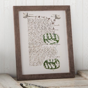 May include: A vintage illustration of a plant with green leaves and a handwritten text in Latin. The illustration is framed in a brown wood frame.