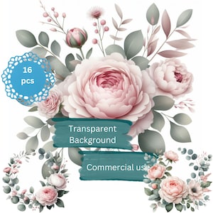 Rosa Blumen Eukalyptus Clipart.Rose PNG.10+Transparenten Hintergrund .Aquarell Pfingstrose