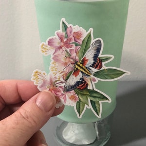 orchid sticker, moth decal, butterfly sticker, flower sticker, vinyl waterproof decal, tumbler decal, phone case sticker, water bottle decal