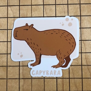 capybara sticker,  capybara decal, funny sticker, cute sticker, tumbler sticker, phone case decal, vinyl decal, waterproof decal, laptop