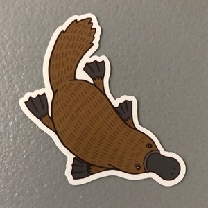 Platypus sticker, platypus decal, platypus gift, phone case sticker, laptop sticker, vinyl decal, tumbler sticker, vinyl waterproof decal