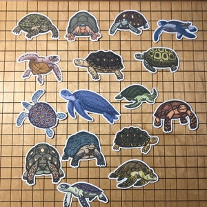 16 stickers tortue, sticker tortue de mer, sticker tortue, cadeau tortue, lot d'autocollants, sticker journal, sticker tortue, sticker coque de téléphone