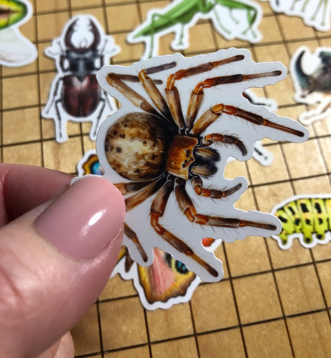 15 Insect Stickers, Sticker Pack, Bug Stickers, Spider Stickers, Beetle ...
