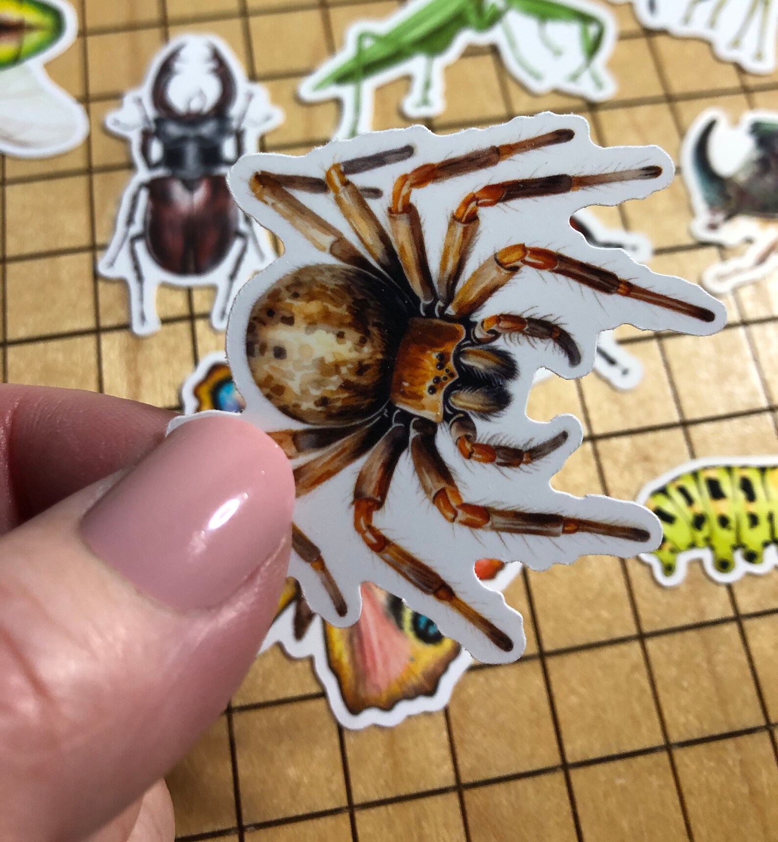 Sticker Bug Microscope 15 Insect Stickers, Sticker Pack, Bug Stickers, Spider Stickers, Beetle ...