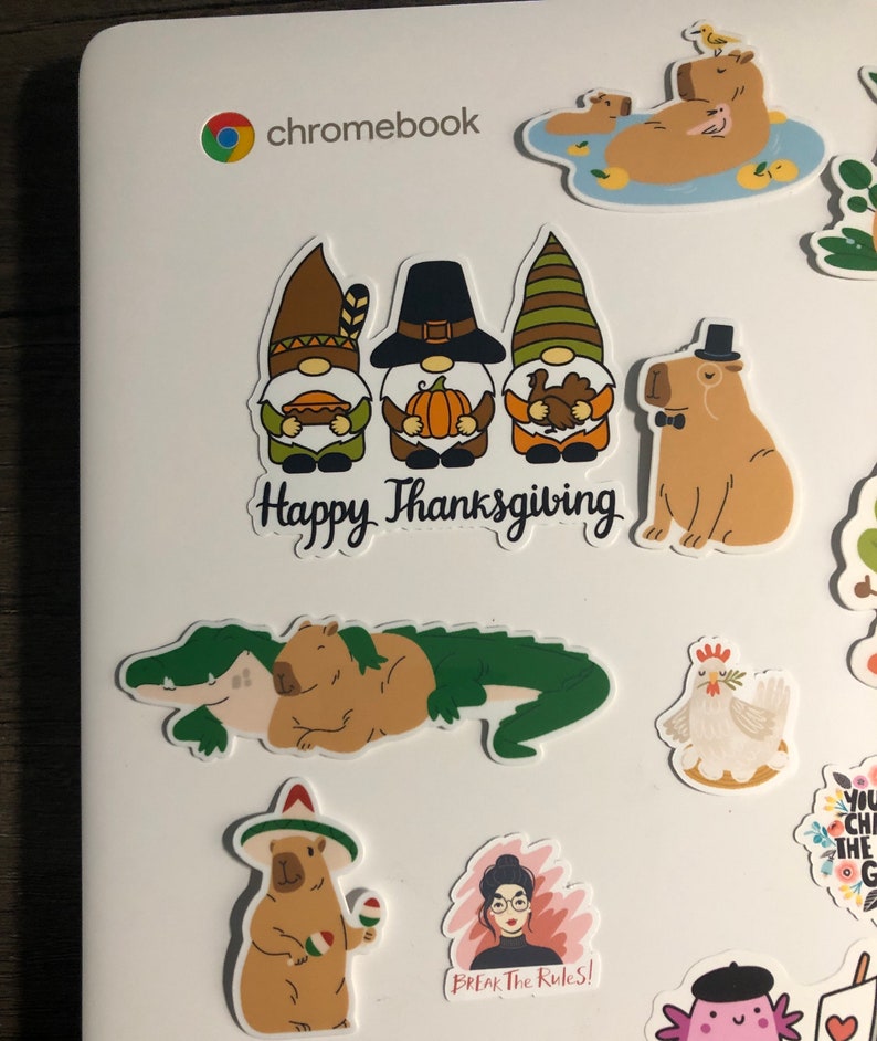 Thanksiving Capybara Capybara Sticker Pack, Waterproof Laptop Decals - Etsy