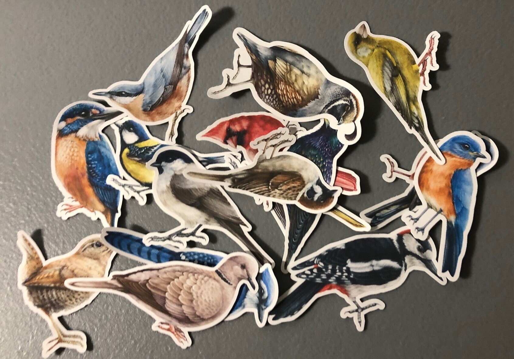 12 Wholesale Bird Stickers - at 