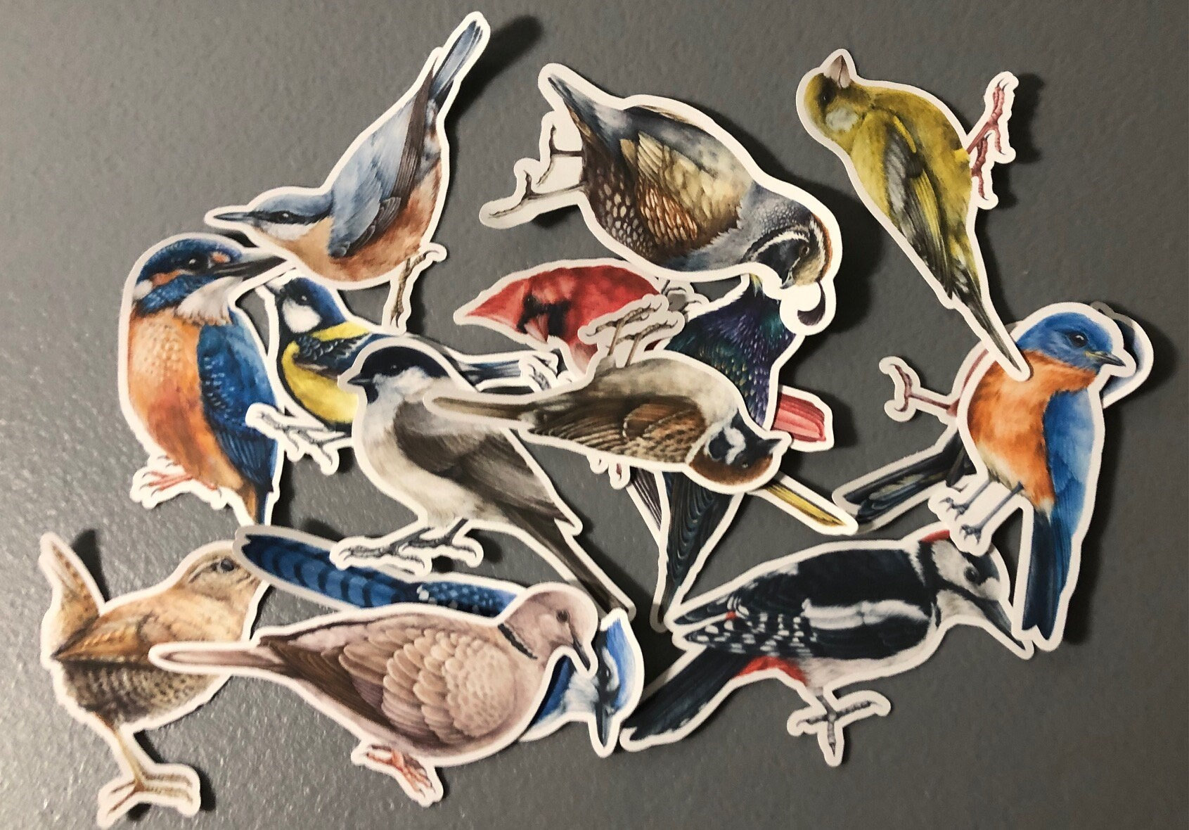 Bird Sticker Pack, 12 Assorted Songbird Decals, Waterproof Vinyl - Etsy