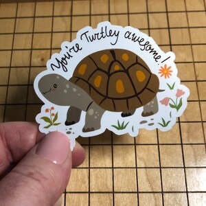May include: A sticker featuring a cartoon turtle with the text "You're Turtley Awesome!" in brown, orange, and green colors.