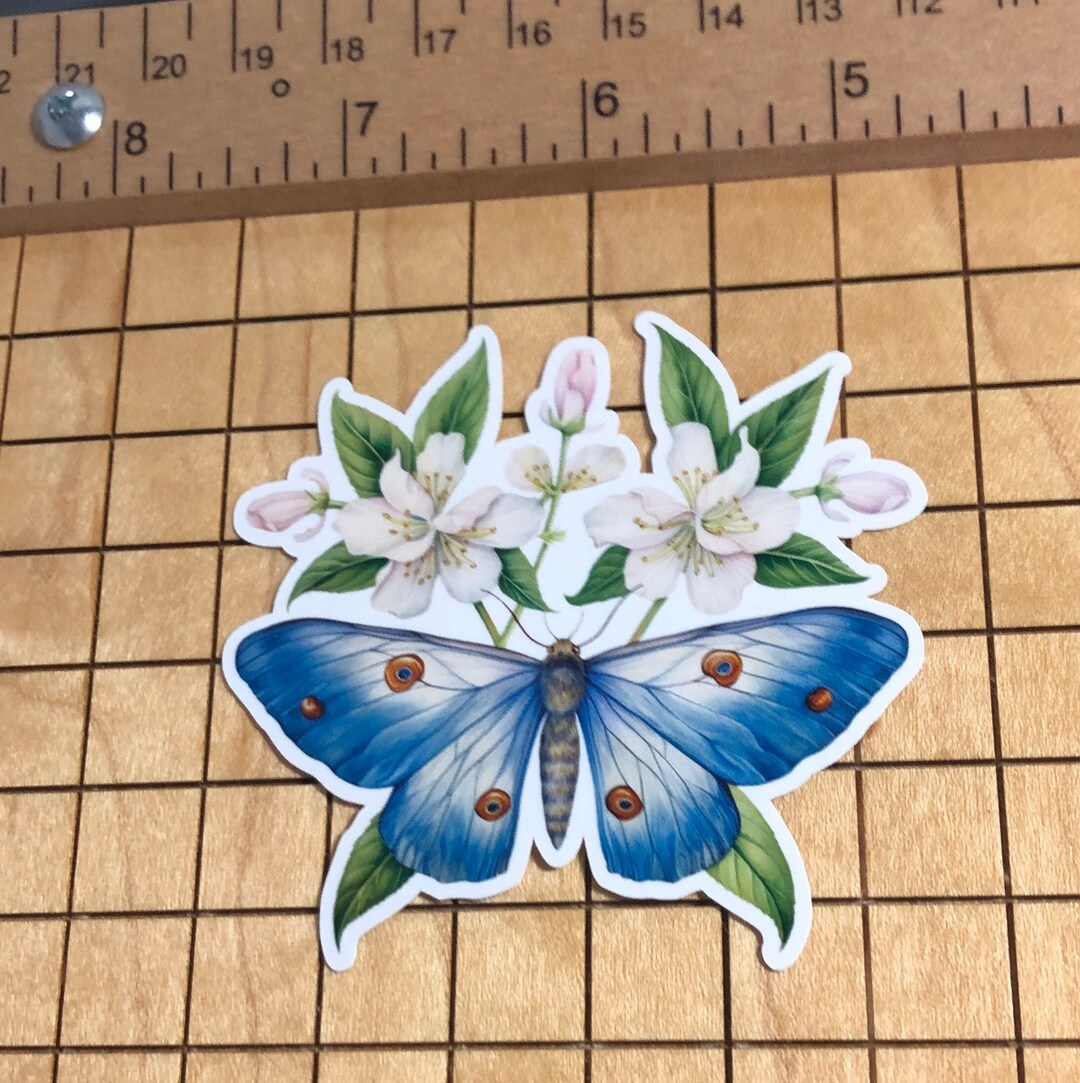 Flower Sticker, Butterfly Sticker, Moth Sticker, Flower Decal, Blue ...