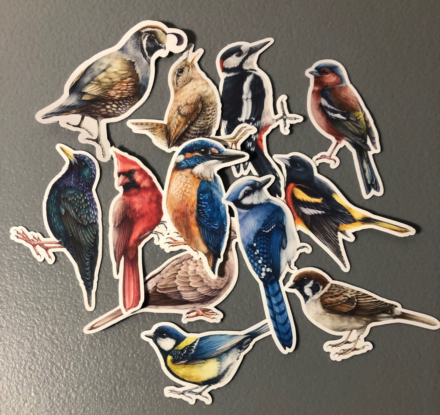 Bird Sticker Pack, 12 Assorted Songbird Decals, Waterproof Vinyl - Etsy