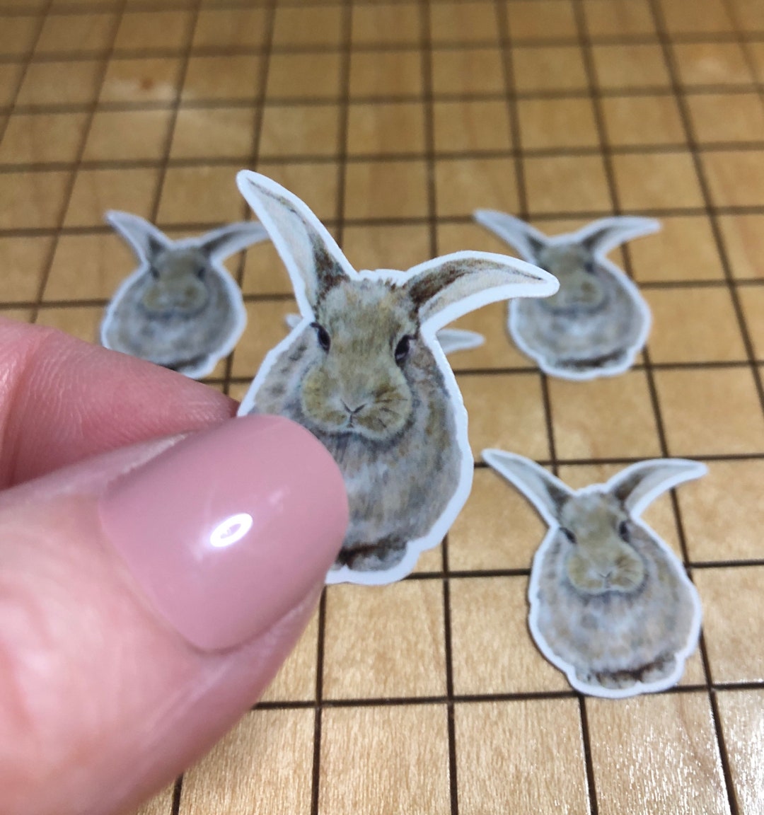 5 MINI Rabbit Stickers, Rabbit Decal, Tiny Sticker, Sticker Pack ...