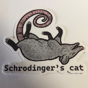opossum sticker, dead opossum, opossum decal, schrodinger&#39;s cat, opossum playing dead, water bottle sticker, tumbler decal, laptop decal