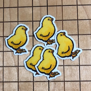 5 MINI yellow chick stickers, chick decal, chicken sticker, chicken decal, phone case sticker, laptop decal, water bottle sticker, cute