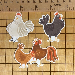 12 Chicken Stickers, Sticker Pack, Chicken Decal, Chicken Gift, Phone ...