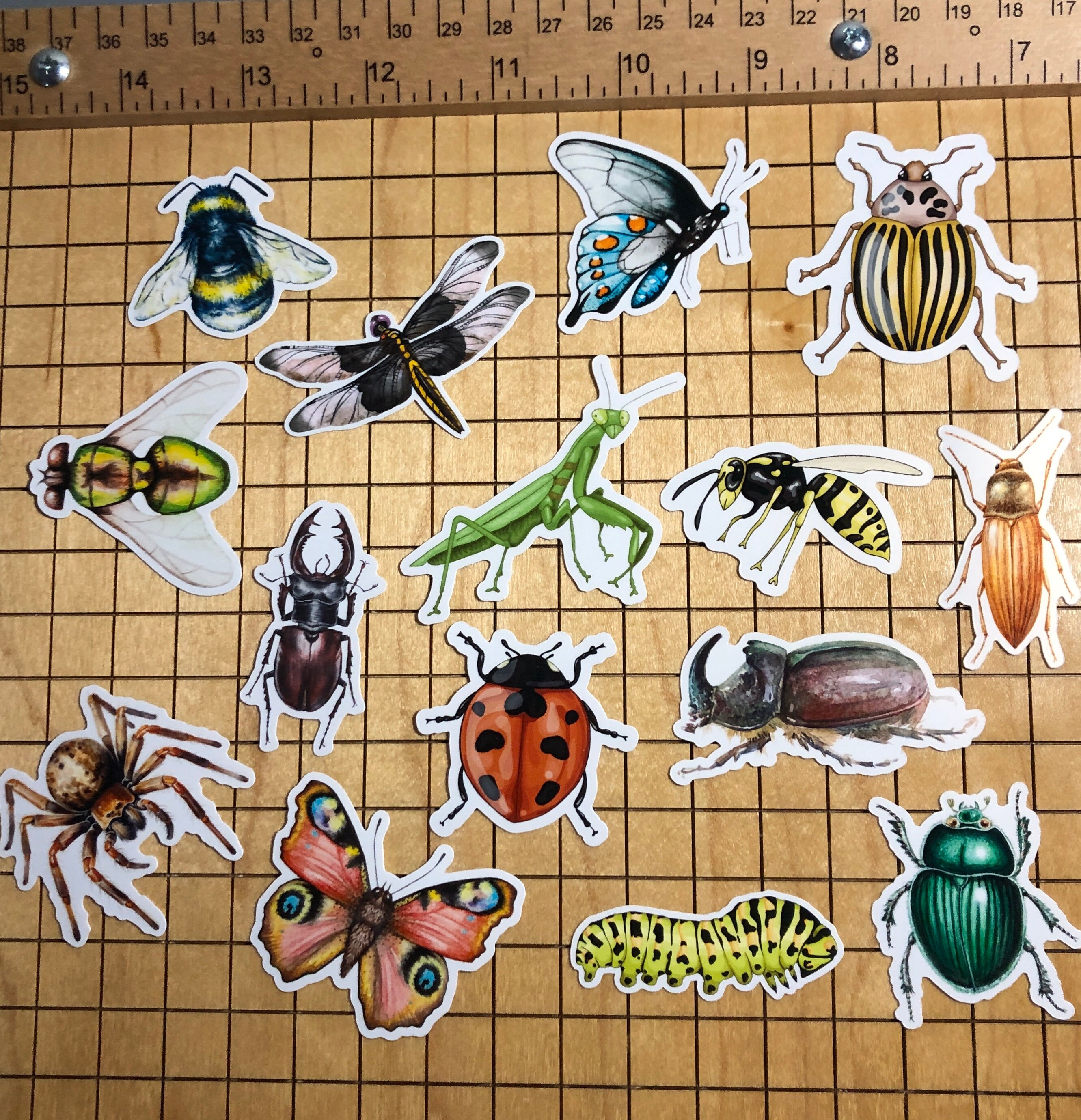 15 Insect Stickers, Sticker Pack, Bug Stickers, Spider Stickers, Beetle ...