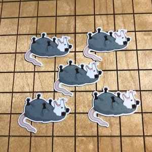 5 MINI Opossum Aufkleber, Opossum Aufkleber, totes Opossum, winziger Aufkleber, Aufkleber, Laptop Aufkleber, Wasserflasche Aufkleber, Becher Aufkleber, lustig