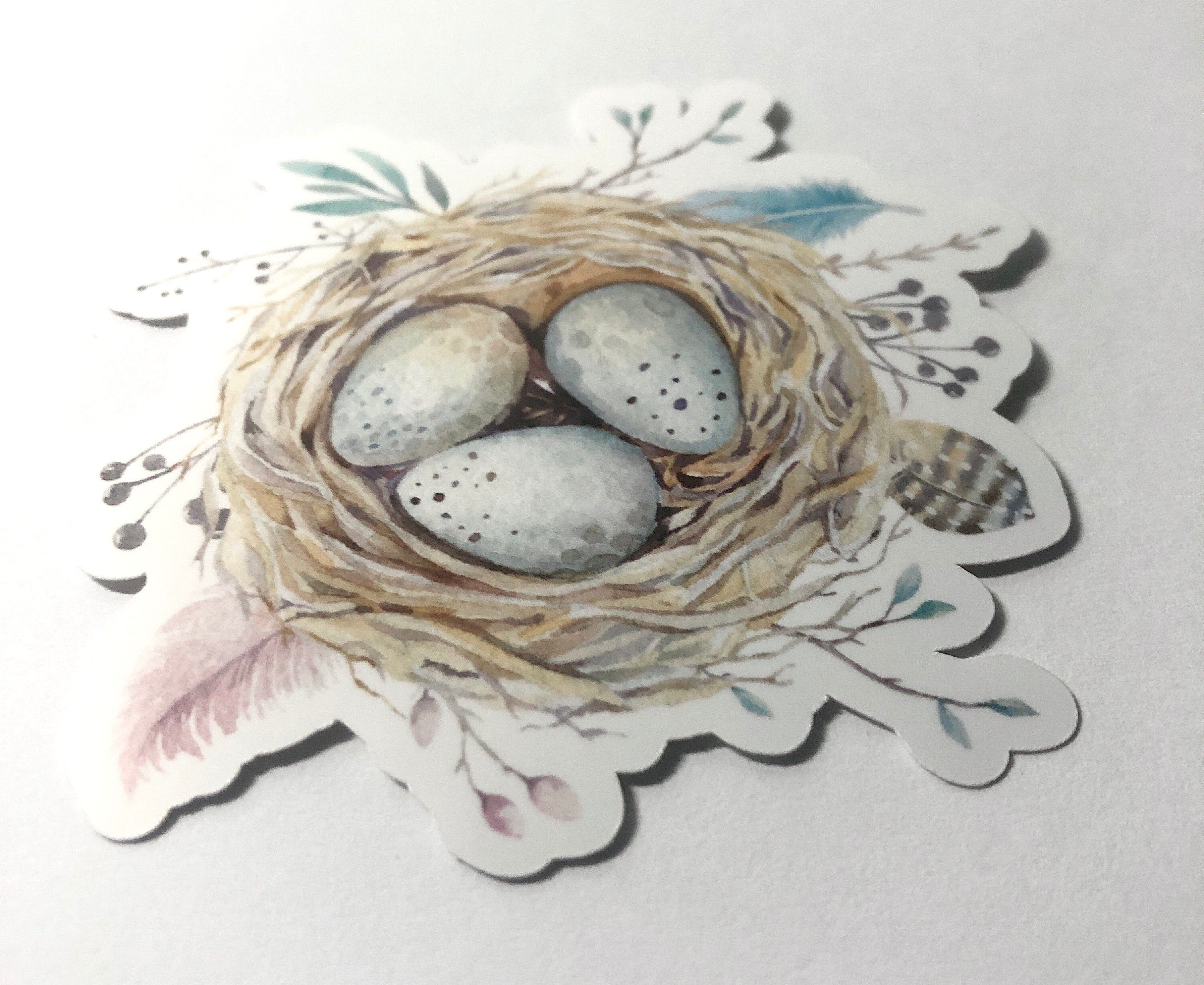 Bird Nest Sticker, Bird Sticker, Nest Decal, Boho Sticker, Boho Decal ...