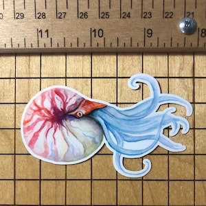 May include: A watercolor illustration of a nautilus shell with a blue and white octopus-like creature emerging from the shell. The shell is pink, white, and yellow.