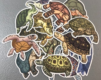 8 Turtle sticker pack, sea turtle sticker, tortoise sticker, journal stickers, scrapbook stickers, turtle decal, boy sticker, laptop sticker