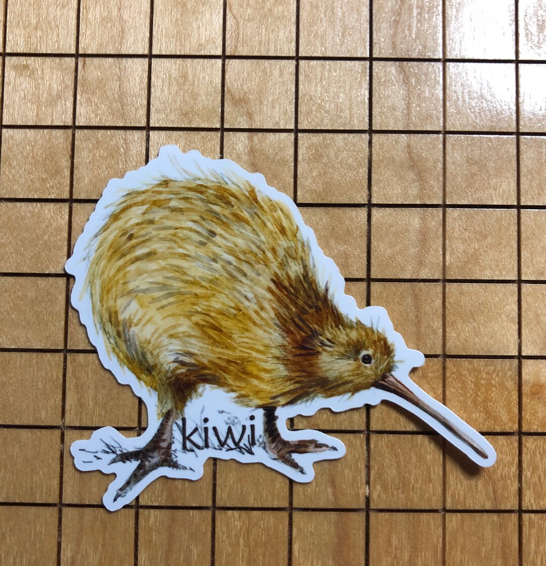 thumbnail image 2 of Kiwi Sticker 4 Inch Flightless Bird New Zealand Bird 2 of 14