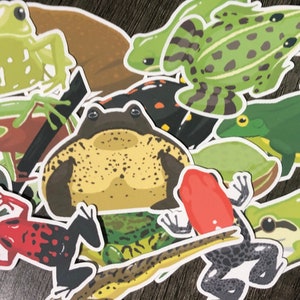 18 frog stickers, frog sticker pack, frog decals, frog gift, water bottle decal, laptop decal, frog party favor, gift for a boy, toad decal