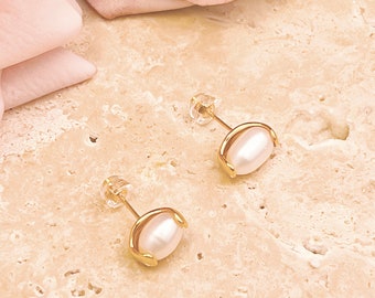 May include: A pair of gold pearl stud earrings. The earrings feature a single, round pearl set in a gold setting. The pearls are a creamy white color.