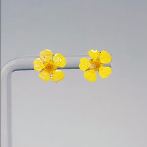 Yellow Forget Me Not Studs