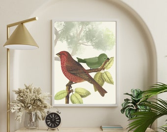 Impresiones de arte digital Descargar Bird Art Wall Decor, Bird Lover Vintage Gift Ideas Nature Songbirds Art Watercolor art print set Digital Download