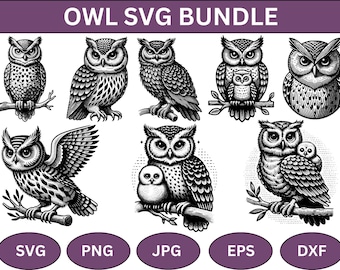 Paquete SVG de búho: Gráficos vectoriales de animales salvajes (descarga instantánea)