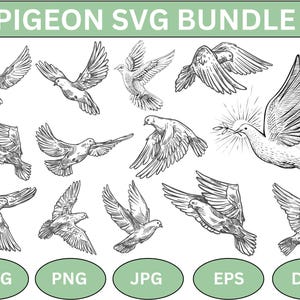 Silhueta de pombo SVG, Pacote de pomba SVG, Vetor de pomba, Silhueta de pássaro, ClipArt de pomba, Pomba do amor Svg, Arquivo de corte SVG para Cricut, Download instantâneo