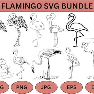 Flamingo SVG Bundle: Cricut Shirt Designs (Digital Download)