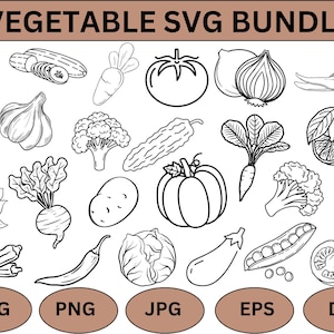 Vegetables SVG Bundle: Hand-Drawn Food Illustrations (Digital Download)
