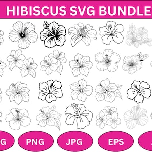Hibiscus Flower svg,Hawaiian Flower svg,Hibiscus svg Bundle,Tropical Clip Art,Monstera Leaf svg,Jungle leaves svg,Cute Flowers Svg,Download