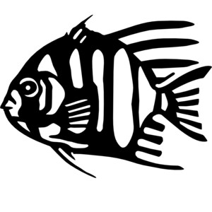 May include: Black and white illustration of a striped fish with fins and a tail.