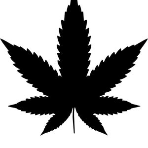 雑草の葉