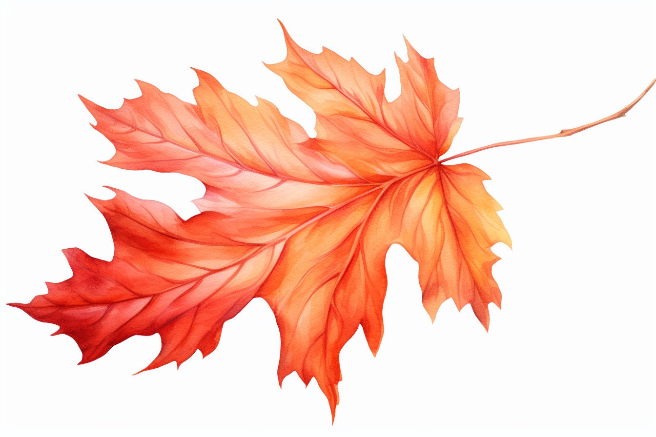 Fall Leaves Svg, Fall Svg, Fall Leaf Svg Bundle, Fall Png, Dxf, Clipart