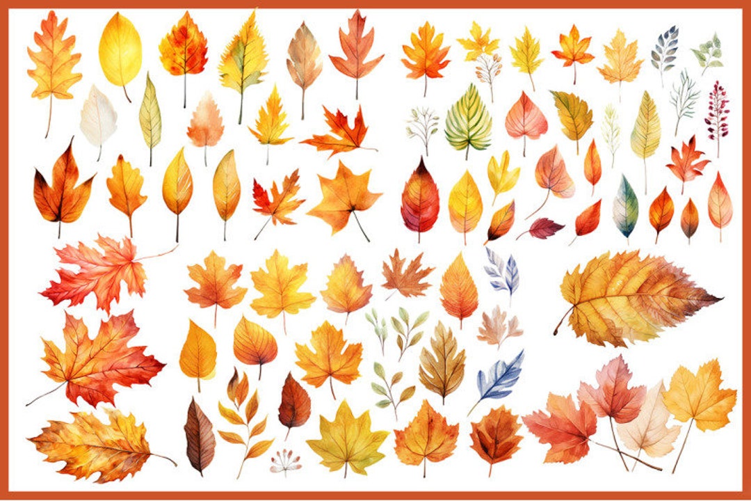 Fall Leaves Svg, Fall Svg, Fall Leaf Svg Bundle, Fall Png, Dxf, Clipart