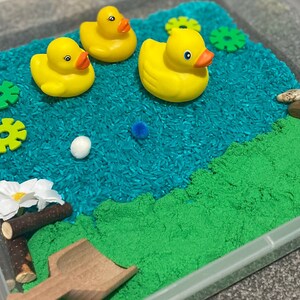 Duckie Sensory Bin, Duck Pond Sensory Bin - Etsy Australia