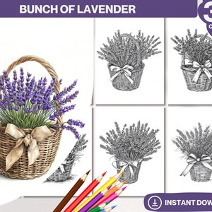 Bunch Of Lavender Coloring Book | Adults and kids Colouring Books | Instant Download | Grayscale Coloring Page | Printable PDF