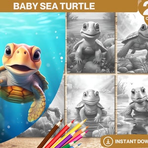 Livre de coloriage bébé tortue de mer | Coloriages animaux tortues | Livre de coloriage pour adultes et enfants | PDF imprimable | Téléchargement instantané