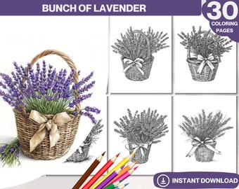 Libro da colorare Lavanda: 30 pagine floreali in scala di grigi (PDF stampabile)