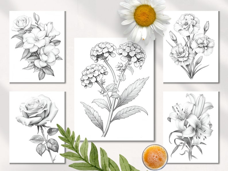 Op de afbeelding: Een set van zes zwart-wit potloodtekeningen van verschillende bloemen. De tekeningen zijn op wit papier en zijn ingelijst in een witte passe-partout. De bloemen omvatten een roos, een lelie, een anjer, een hortensia en een jasmijn.