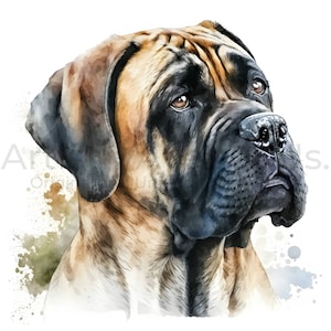 English Mastiff Clipart - 10 High Quality JPGs | Digital Planners | Junk Journals | Cute Animal | Digital Download | Commercial Use