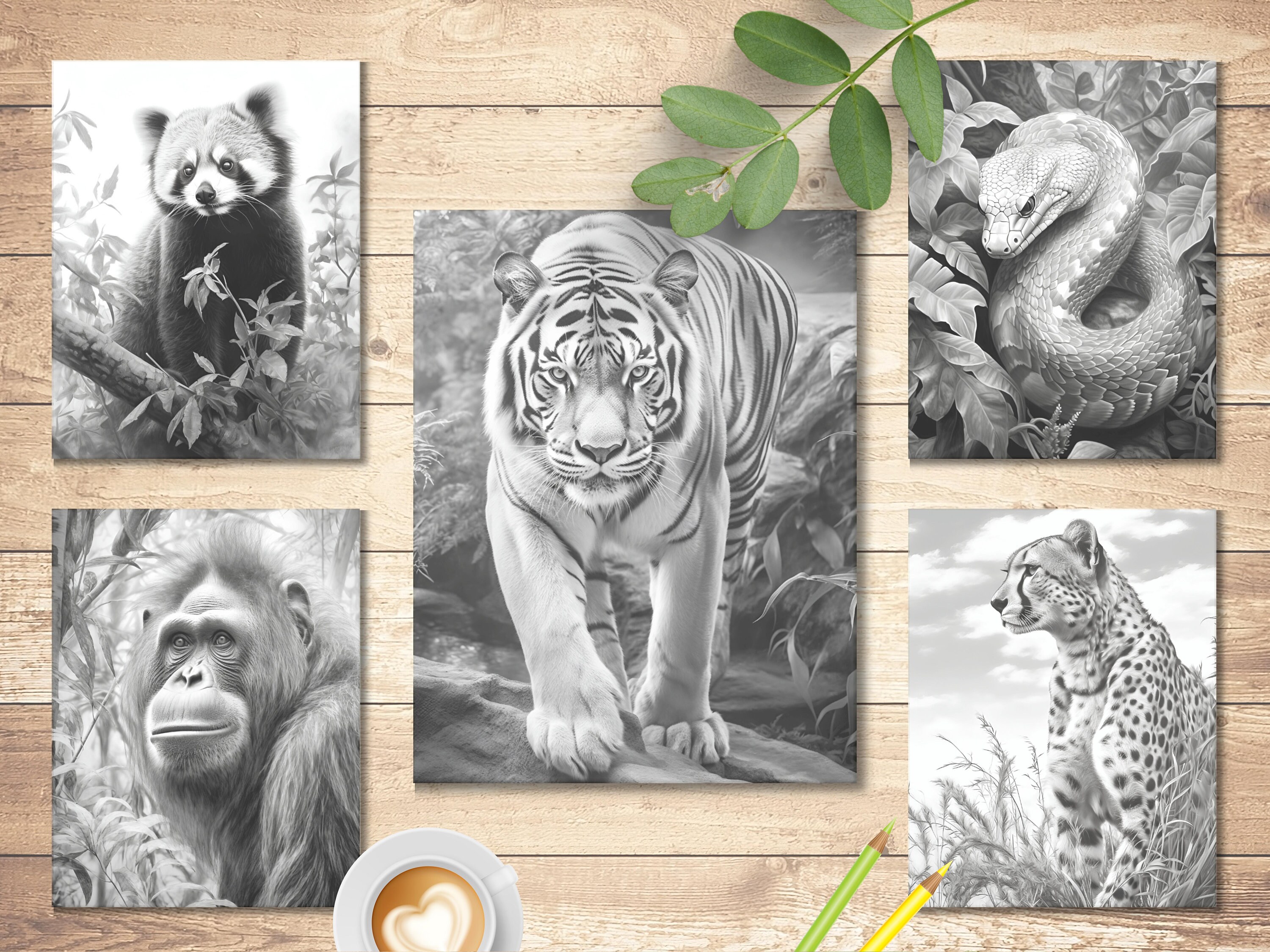 Jungle Animals Coloring Book: 25 Wild Animal Pages (printable PDF) - Etsy