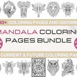 700+ Mandala Coloring Pages Bundle, Adults Coloring Book Bundle, Grayscale Coloring Books, Colouring Sheets, Digital Download, Printable PDF